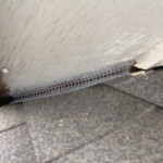 Caulking_Sealing2