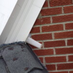 bat_eviction1