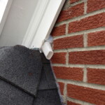 bat_eviction2